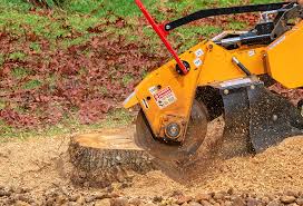 Best Lawn Renovation and Restoration  in Batavia, NY